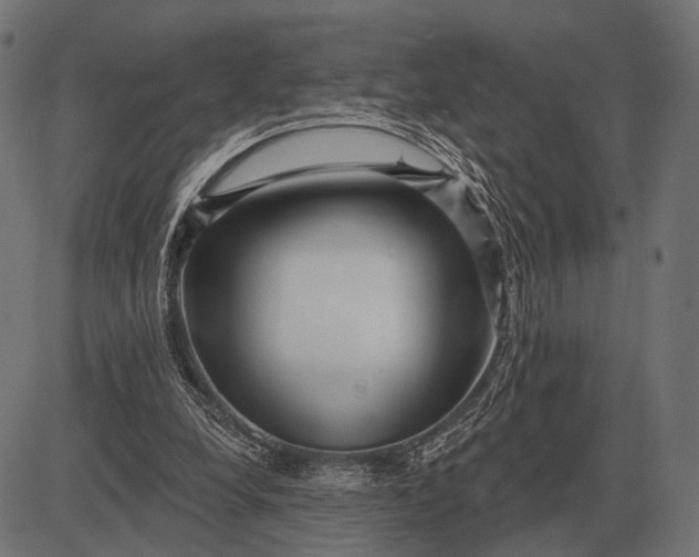 X0000082730248200702091845