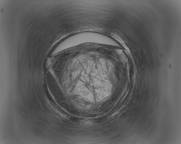 X0000082730249200702091845