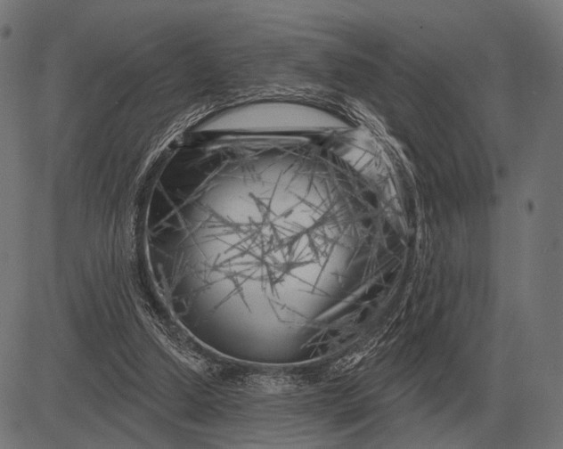 X0000082730250200702091845