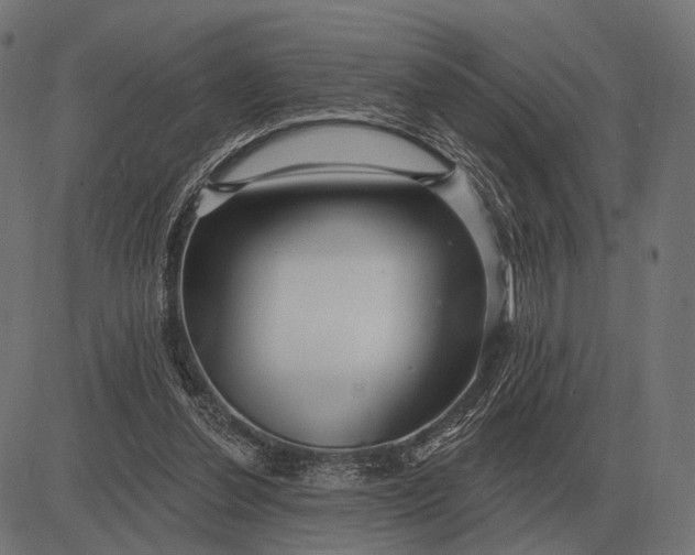 X0000082730252200702091845