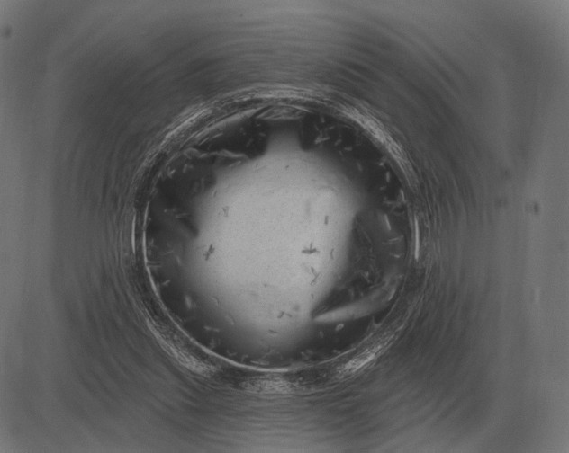 X0000082730253200702091845