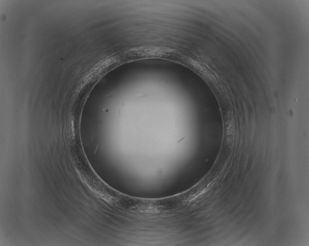 X0000082730254200702091845