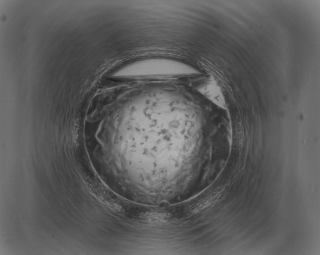 X0000082730255200702091845