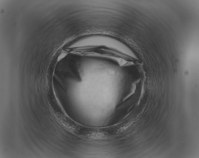 X0000082730256200702091845