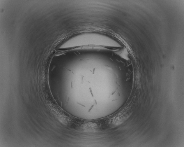 X0000082730257200702091845