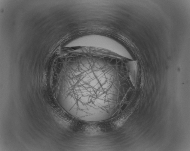 X0000082730258200702091845