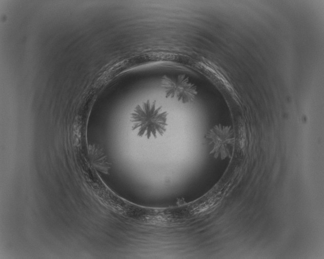 X0000082730259200702091845