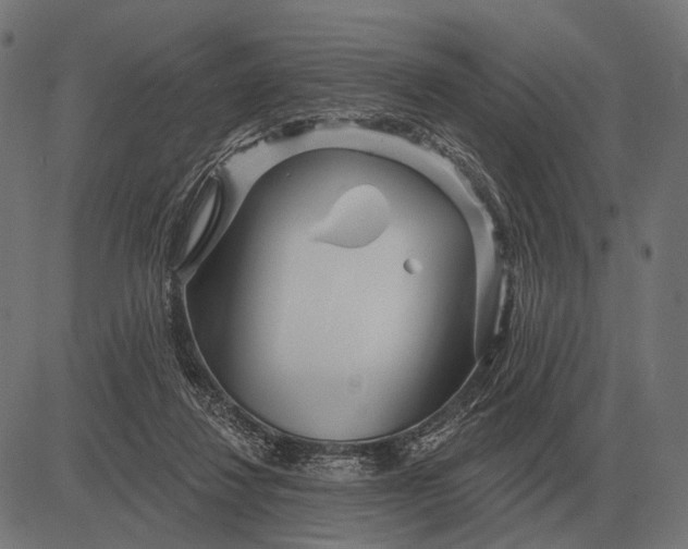 X0000082730260200702091845