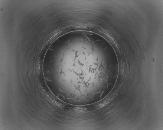 X0000082730261200702091845