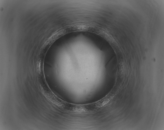 X0000082730262200702091845