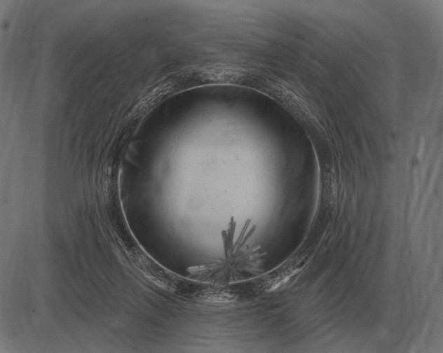 X0000082730263200702091845