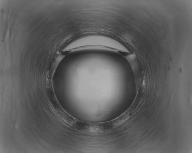 X0000082730264200702091845