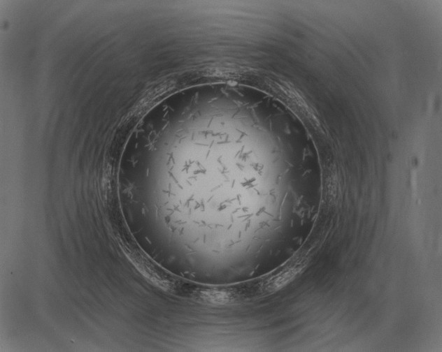 X0000082730265200702091845