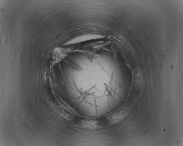 X0000082730266200702091845