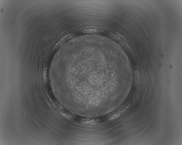 X0000082730267200702091845