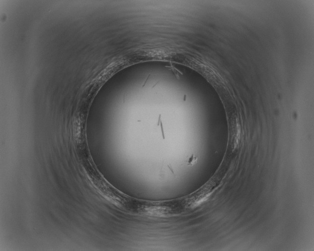 X0000082730268200702091845