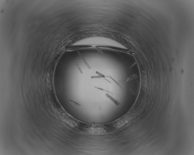 X0000082730270200702091845