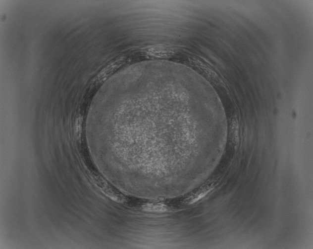 X0000082730271200702091845