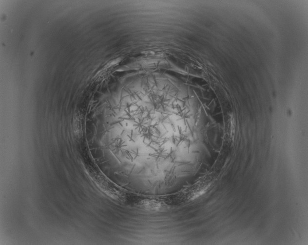 X0000082730272200702091845