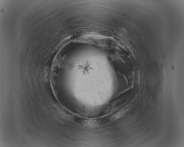 X0000082730273200702091845