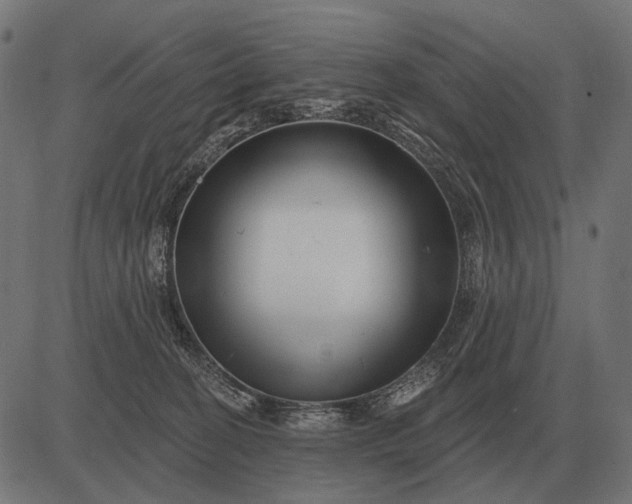 X0000082730274200702091845