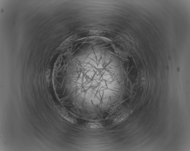 X0000082730275200702091845