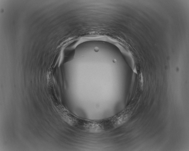 X0000082730276200702091845