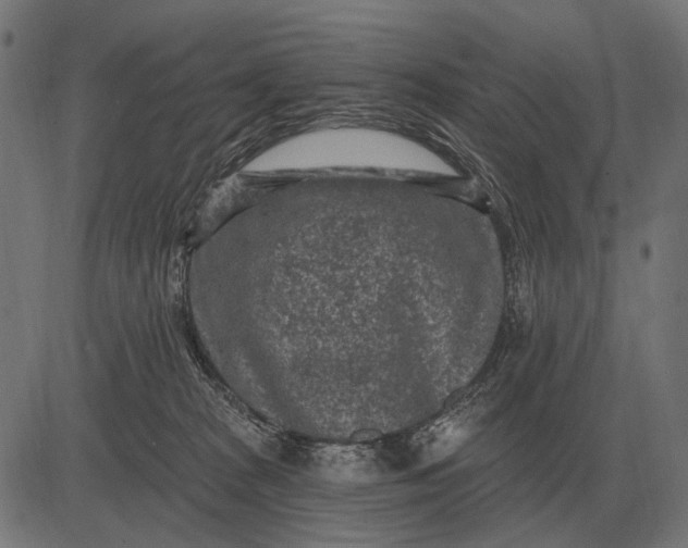 X0000082730277200702091845