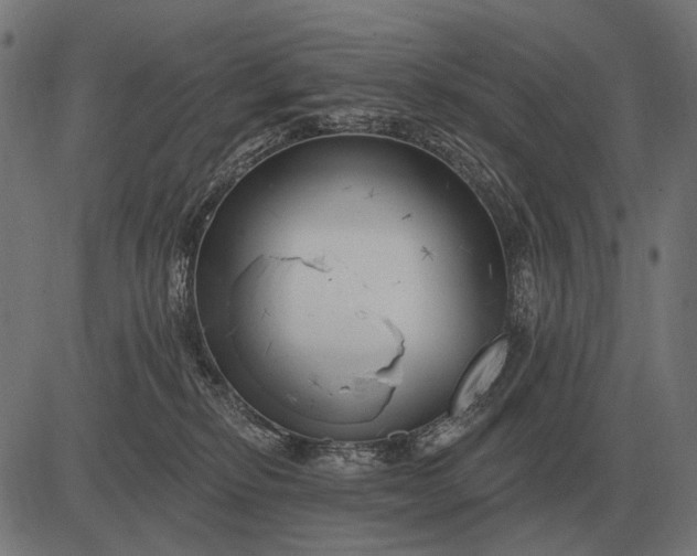 X0000082730278200702091845