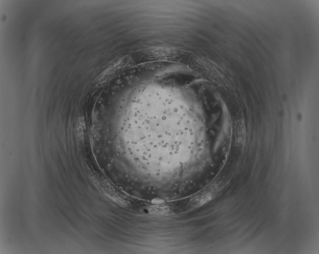 X0000082730279200702091845