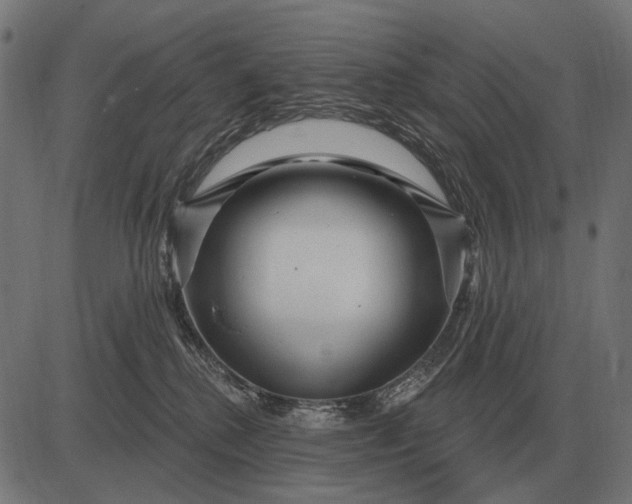 X0000082730280200702091845