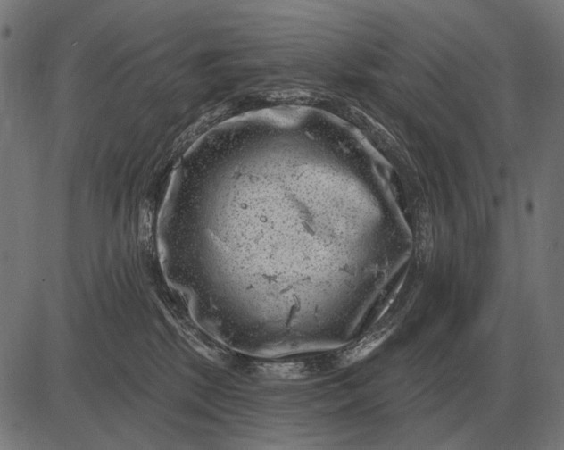 X0000082730281200702091845