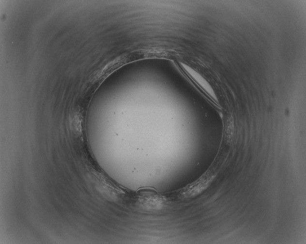 X0000082730282200702091845