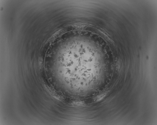 X0000082730283200702091845