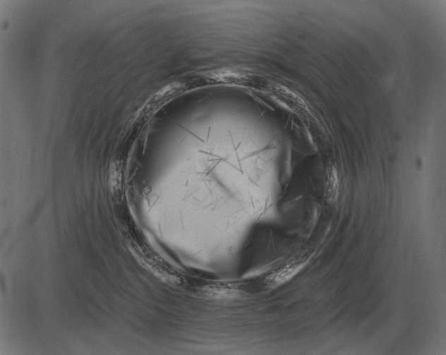 X0000082730284200702091845