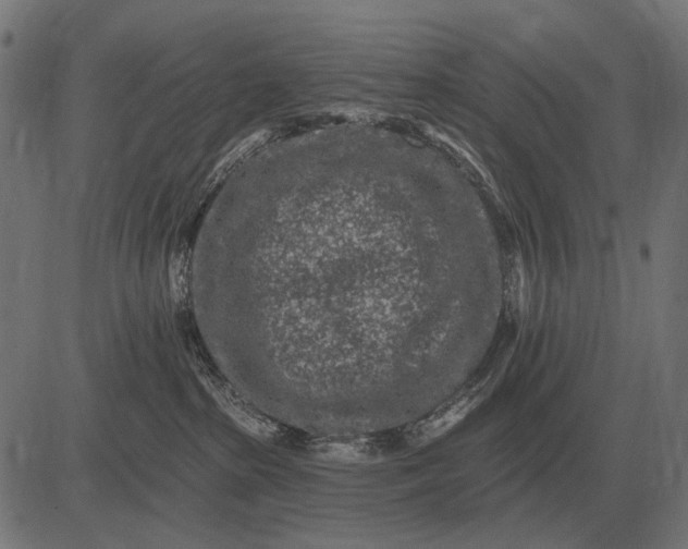 X0000082730285200702091845