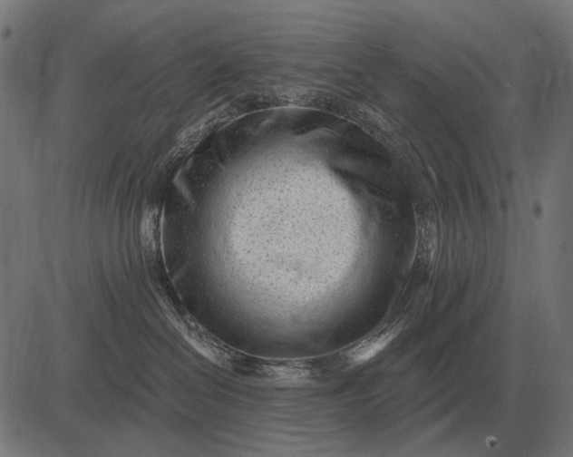 X0000082730286200702091845