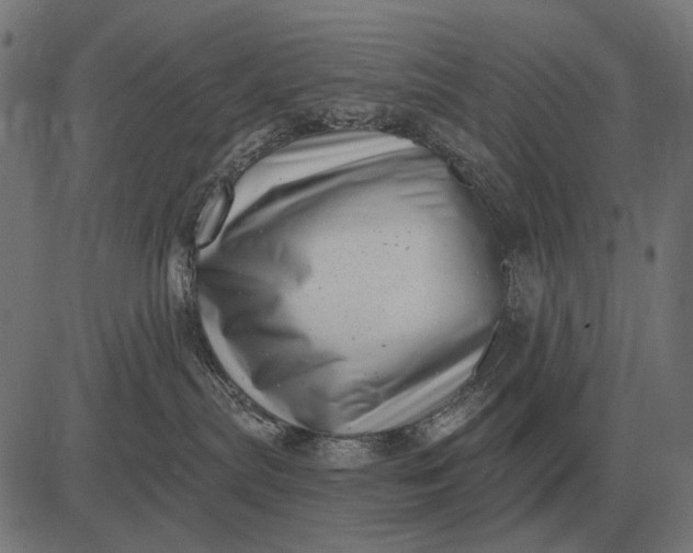 X0000082730287200702091845