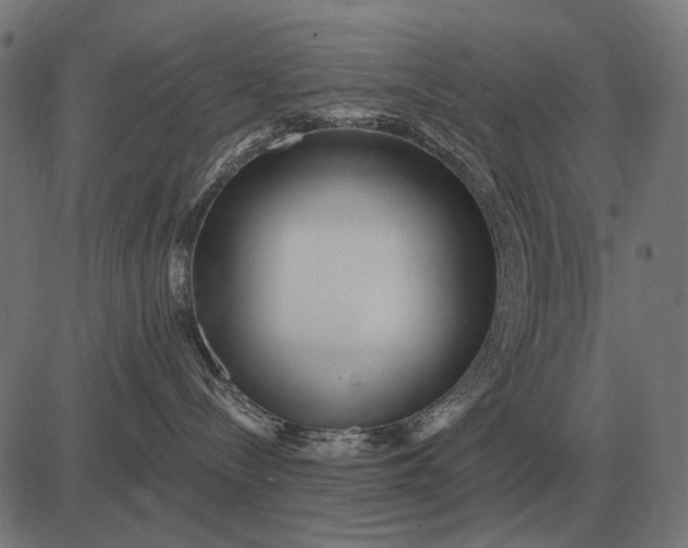 X0000082730288200702091845