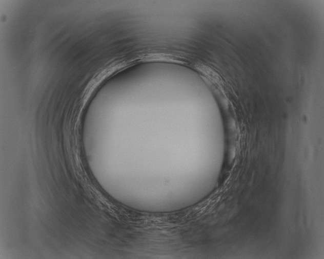 X0000082730289200702091844