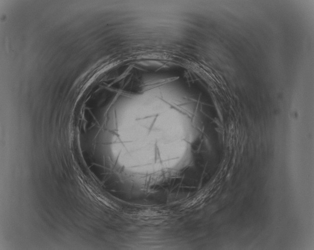 X0000082730290200702091844