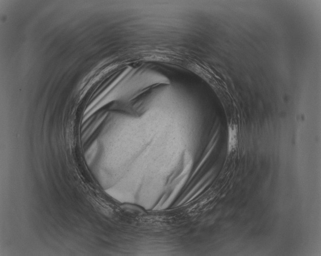 X0000082730291200702091844