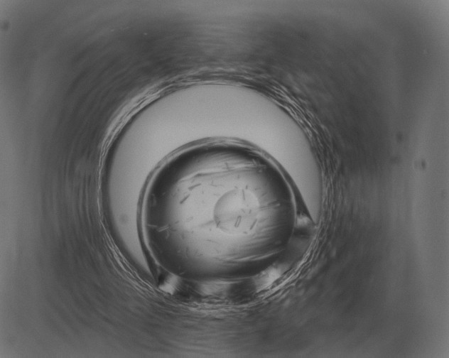 X0000082730293200702091844