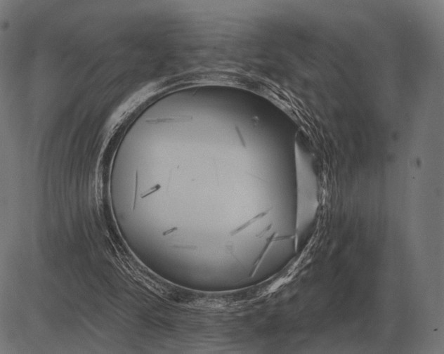 X0000082730294200702091844