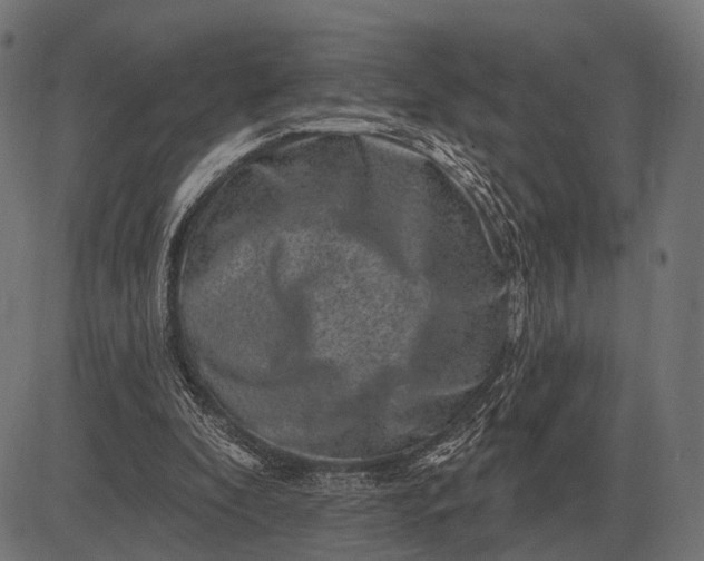 X0000082730296200702091844