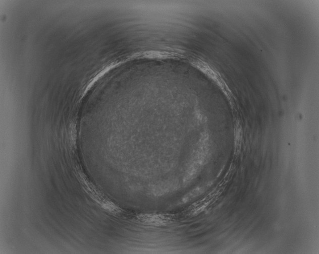 X0000082730297200702091844