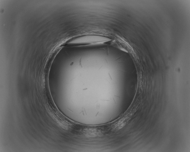 X0000082730298200702091844