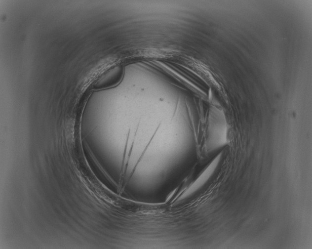 X0000082730299200702091844