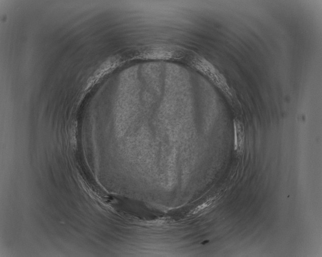 X0000082730300200702091844