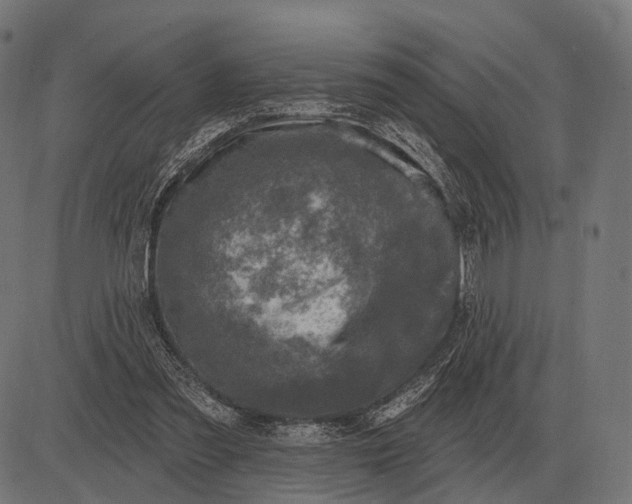 X0000082730301200702091844